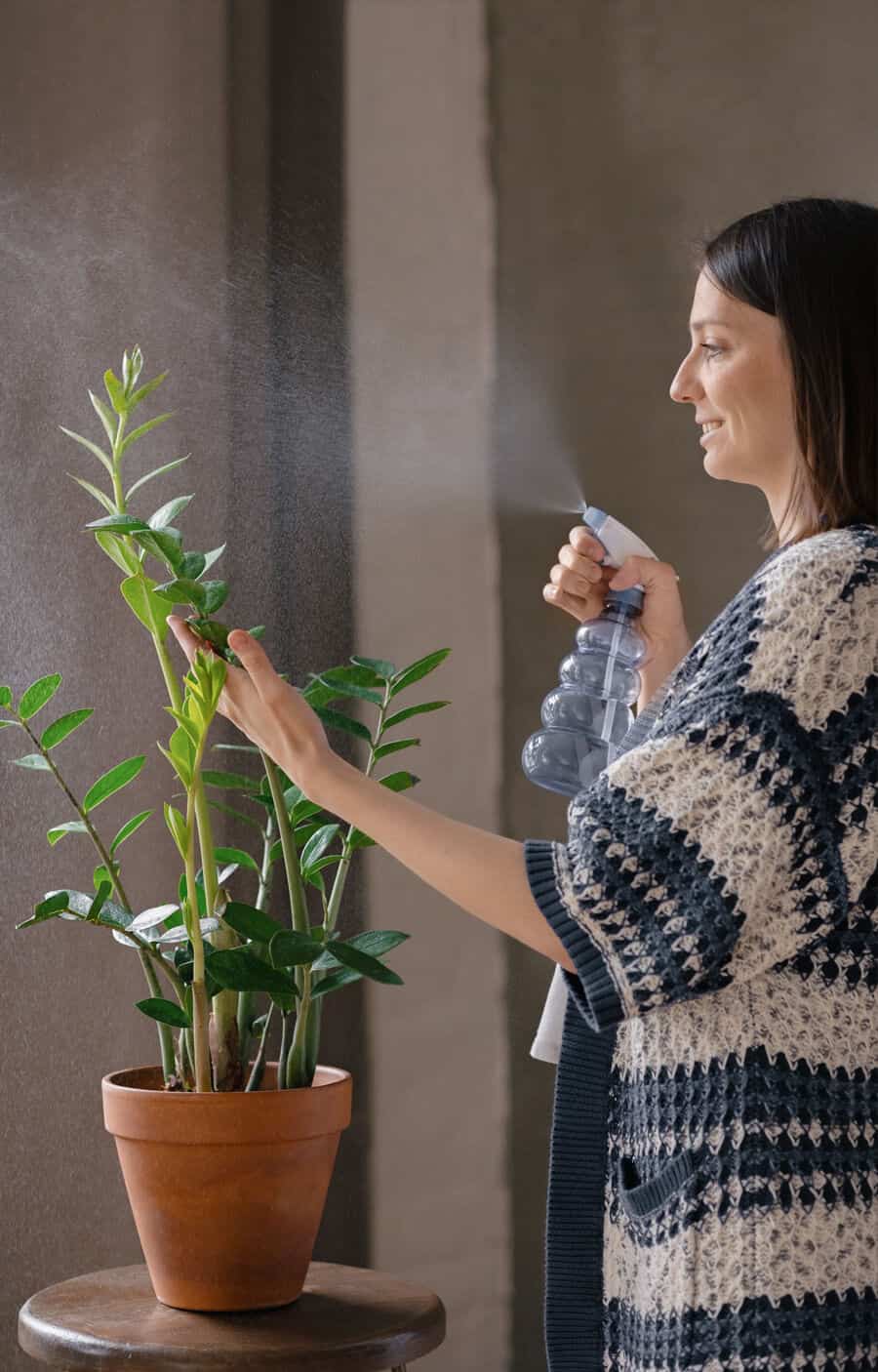 plantas para casa